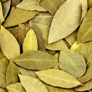 Bay leaves (hojas de laurel) ESPECIAS MONTERO
